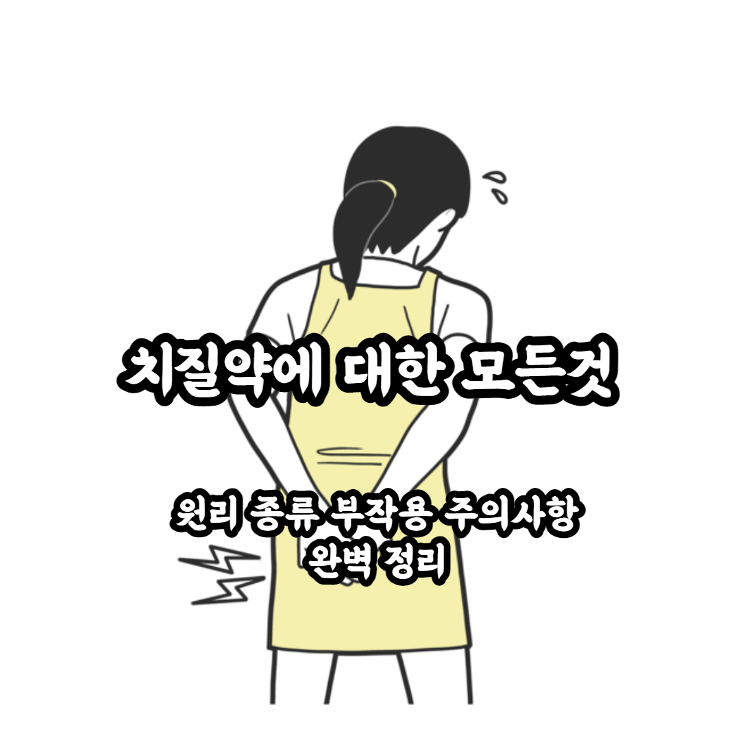 치질약 원리 종류 부작용 주의사항 총정리