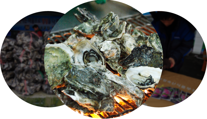 2023 보령 천북굴축제 천북굴단지 소개