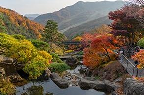 화담숲 가을 단풍축제가 11월 15일까지 한달간 진행합니다. 