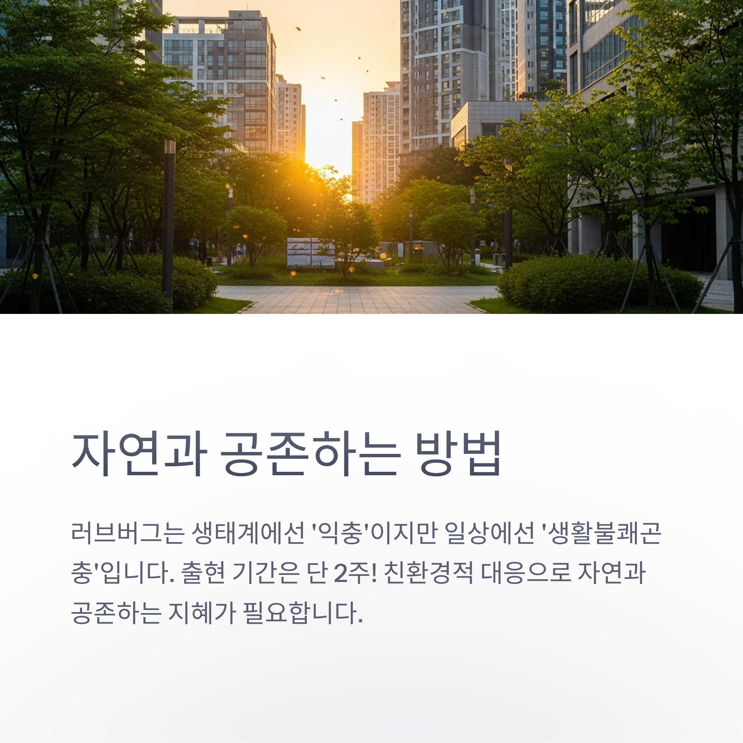 자연과 공존하는 방법