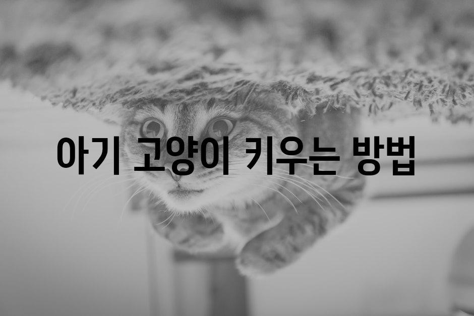 Kittens 9