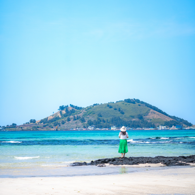 제주도 인생샷 명소