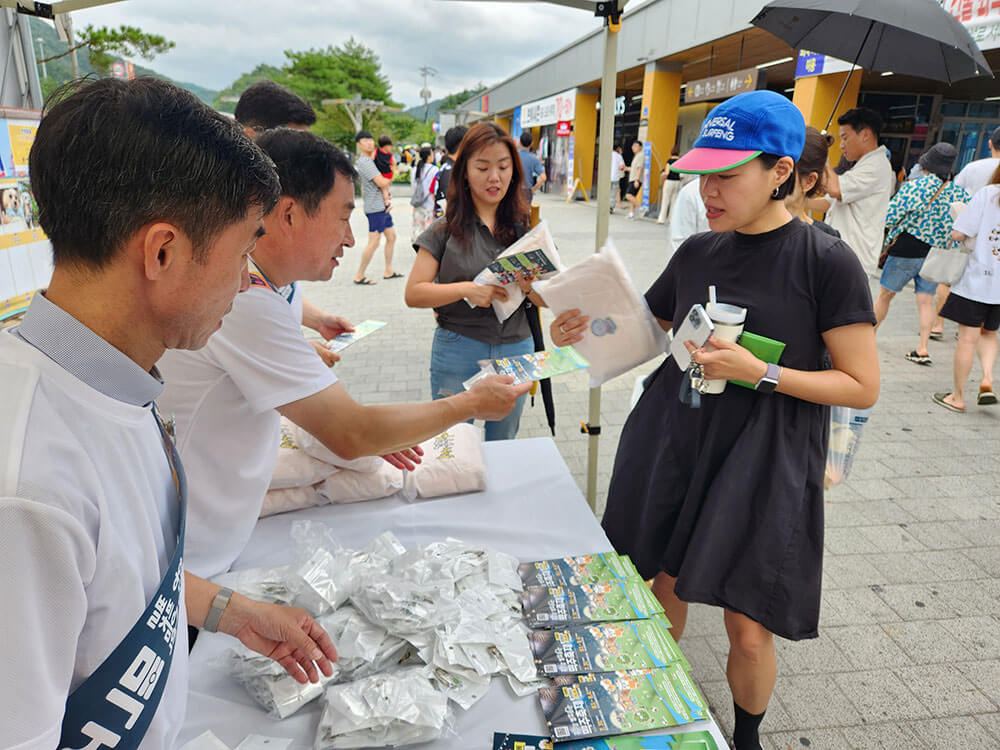 홍천강 별빛음악 맥주 축제 행사