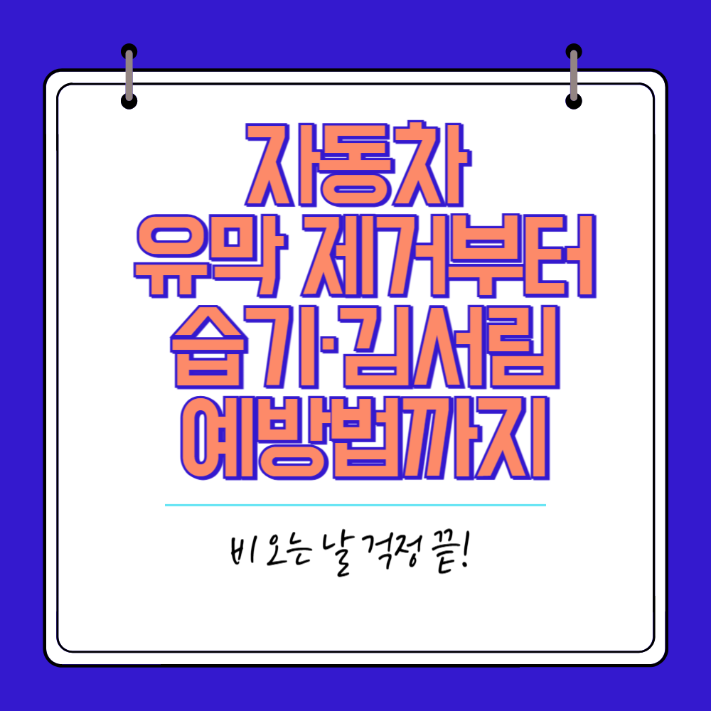 자동차 유막 제거부터, 습기 김서림 예방까지