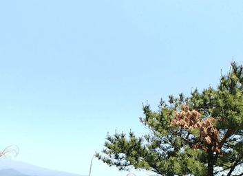 홀로떠나는제주자유여행_송악산둘레길