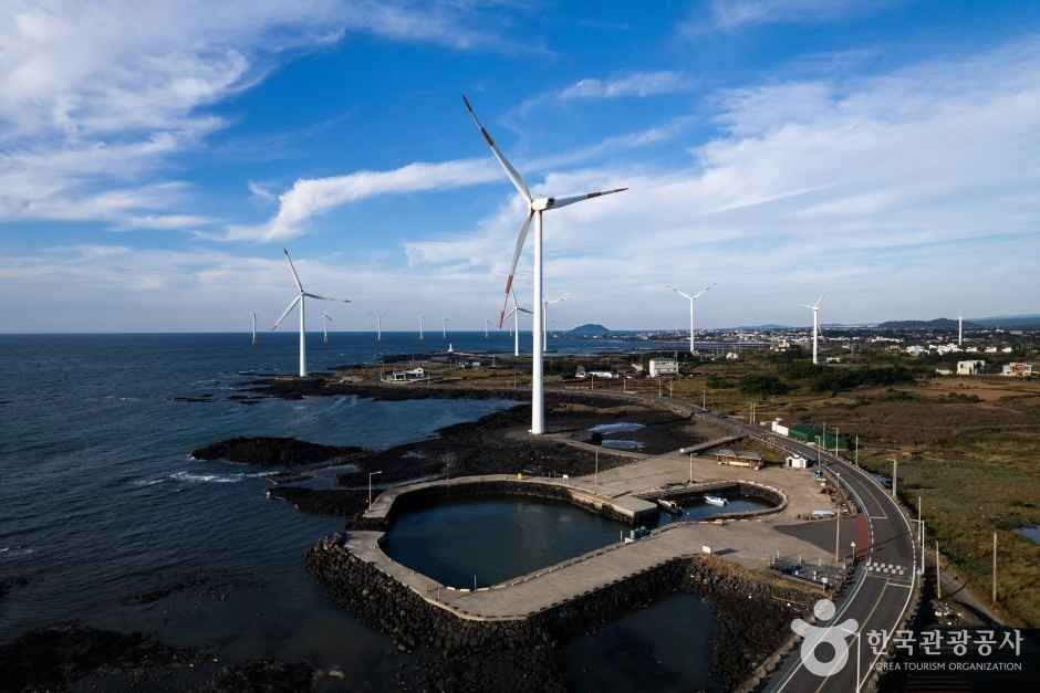 제주 렌트카 미리 계획 가격 반납 보험