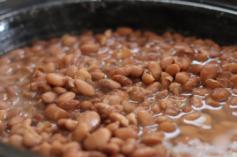 &lsquo;밭에서 나는 소고기&rsquo; 콩의 종류별 영양 성분과 단백질 효능