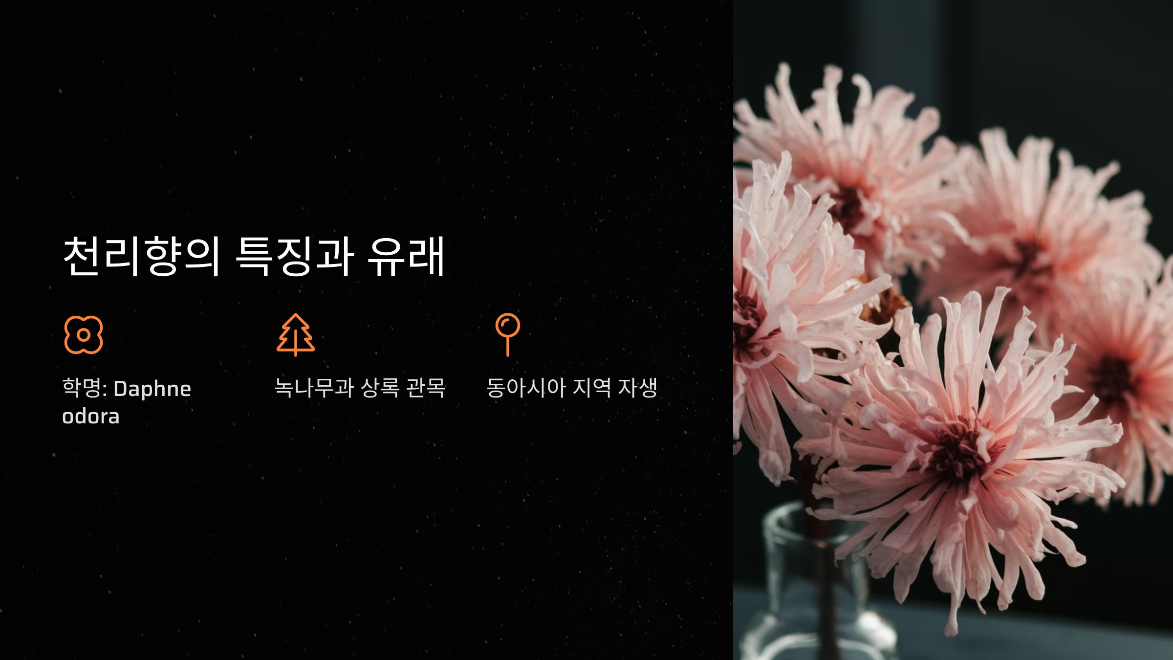 천리향의 특징과 유래