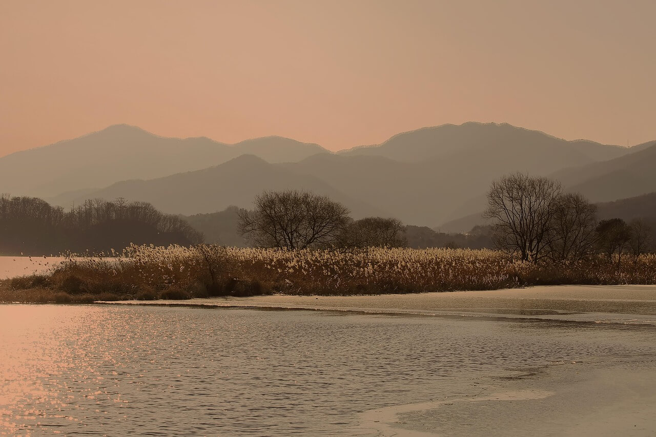 양평 두물머리 - 사진