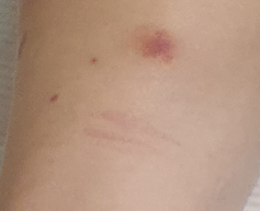 대만여행 에티켓 &amp; 대만여행 정보