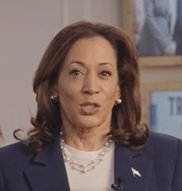 해리스 부통령 관련주