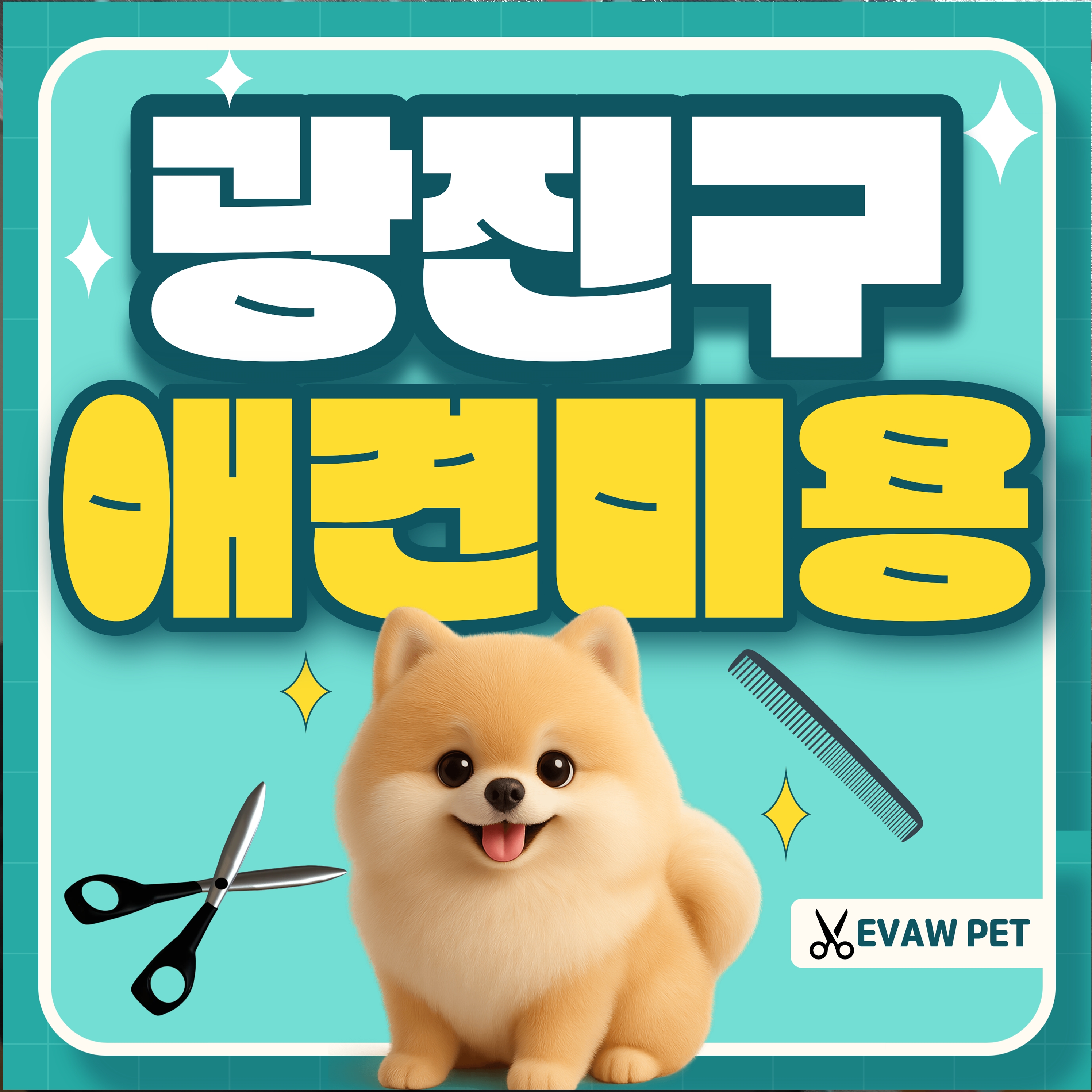 광진구애견미용학원