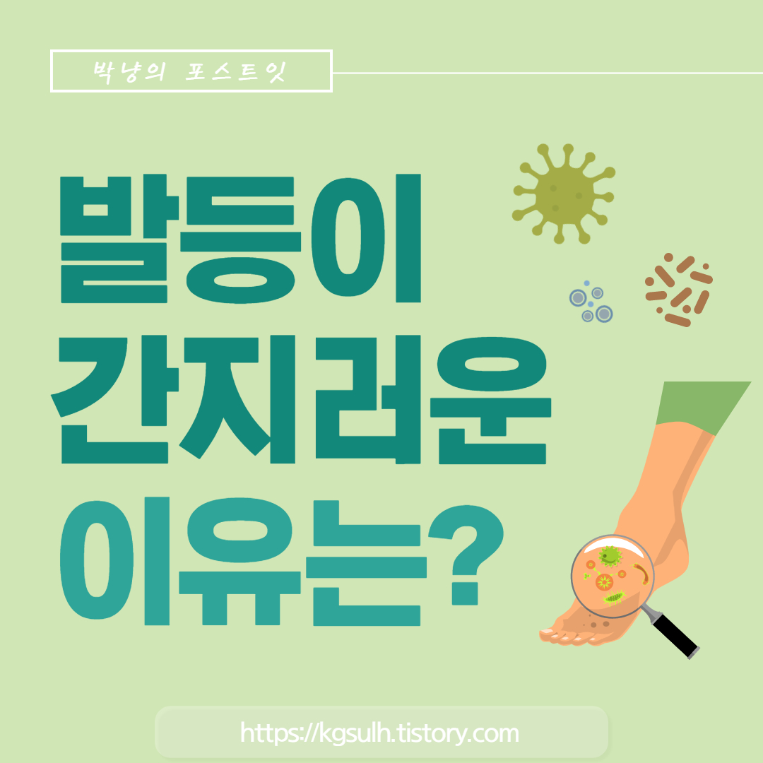발등이 간지러운 이유 01-001.jpg