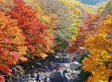 제주도 11월 가볼만한곳