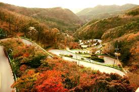 계룡산 단풍명소