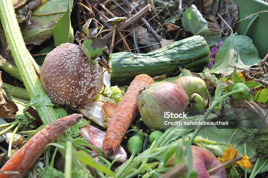 버려지는 음식의 변신! 음식물 쓰레기 재활용 아이디어