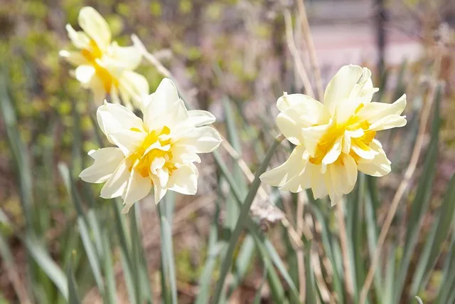 정호승 봄길 명시 10선_2