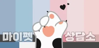고양이 수다스러운 이유 7가지 행동 심리_2