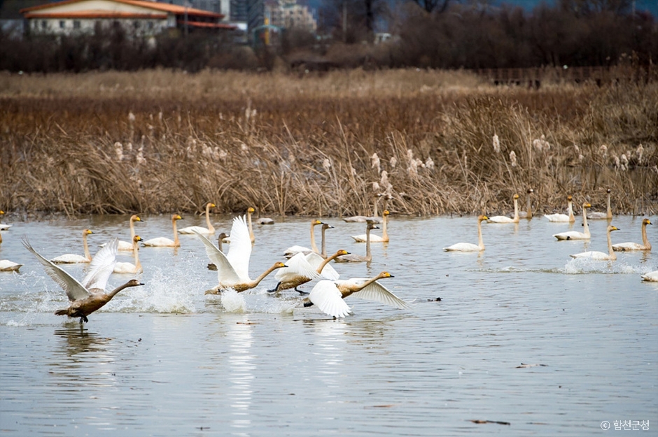 합천 가볼만한곳 베스트10