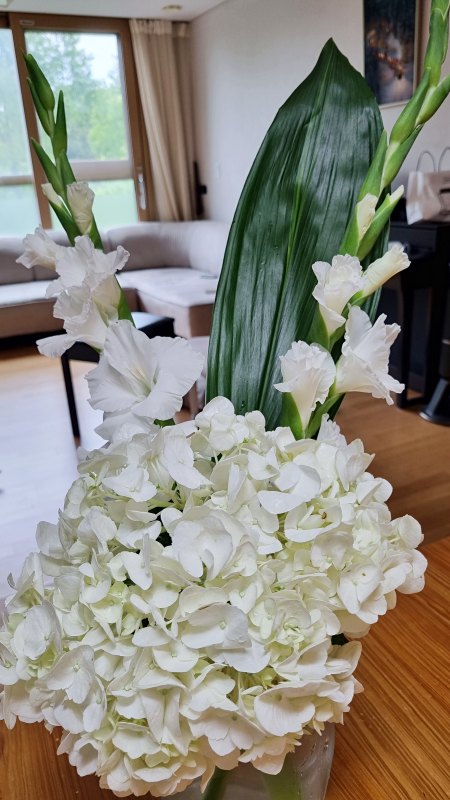 애프터