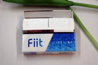 릴 핏 아이싱 단종 리뷰 캡슐 없는 쿨링 타격감 비교_9