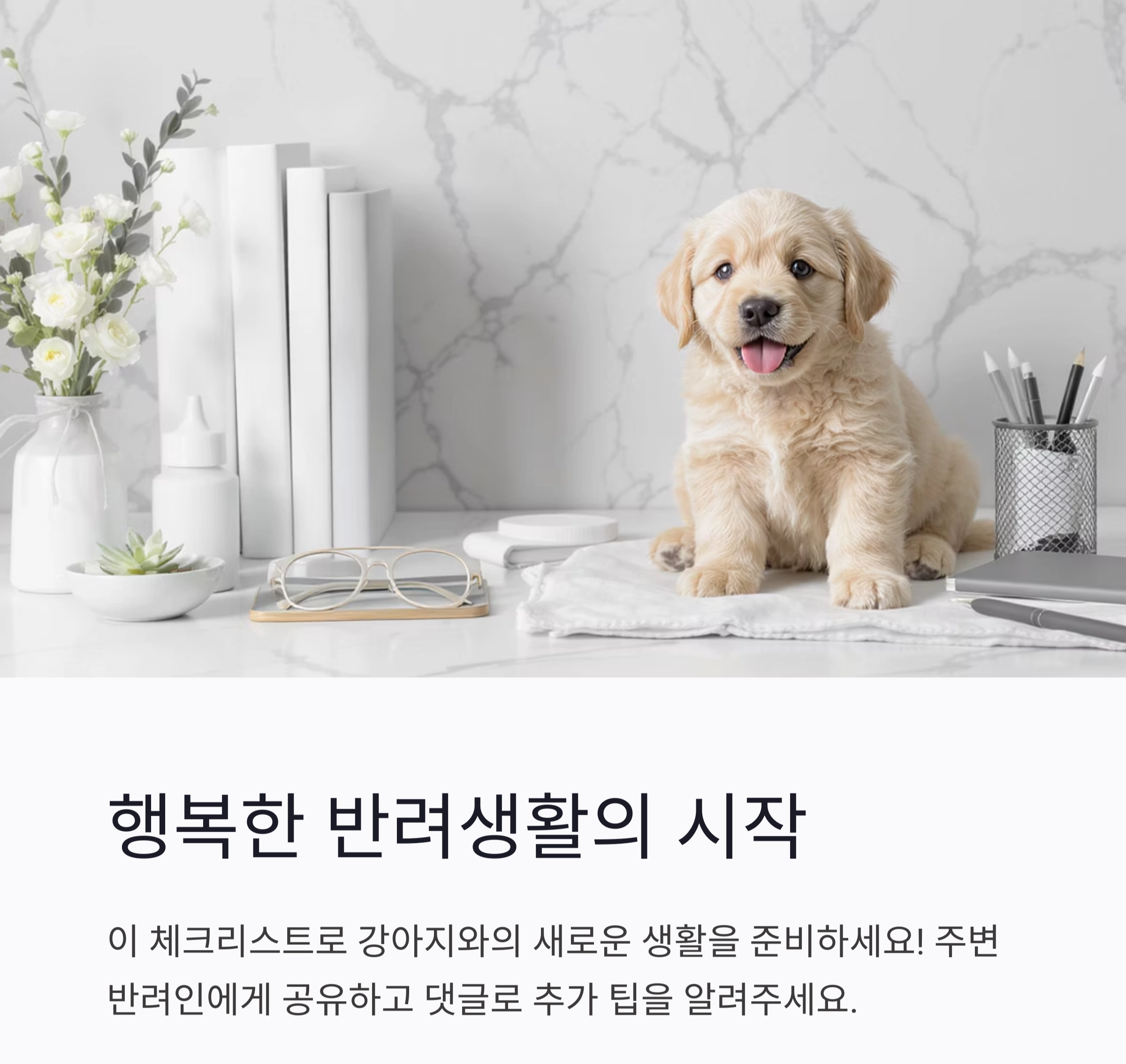 강아지 처음 키울 때 꼭 필요한 준비물 리스트