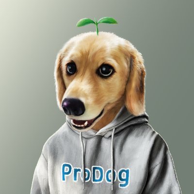 플로개 블로그 완전 정복