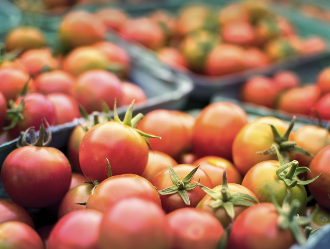 롯데마트 재고조회 방법