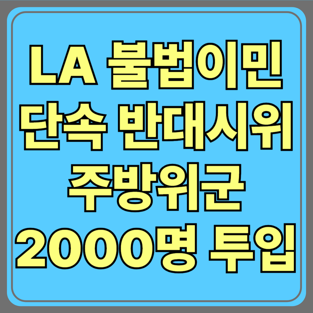 LA, “불법이민 단속 반대” 시위…주방위군 2,000명 투입 왜?