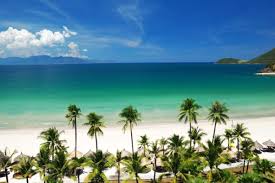 베트남어 번역기 앱