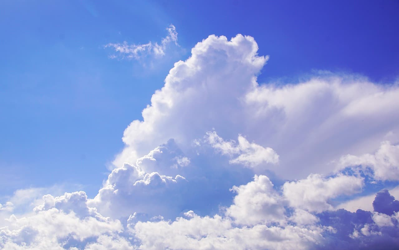 푸른하늘의 날, 실천법으로 건강과 환경 지키기