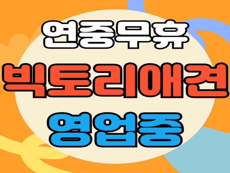2. 빅토리애견 소개