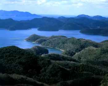 대마도 여행 배편 예약_7