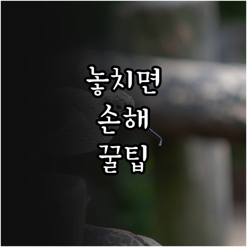 세종시 학자금 대출이자 지원 2025..