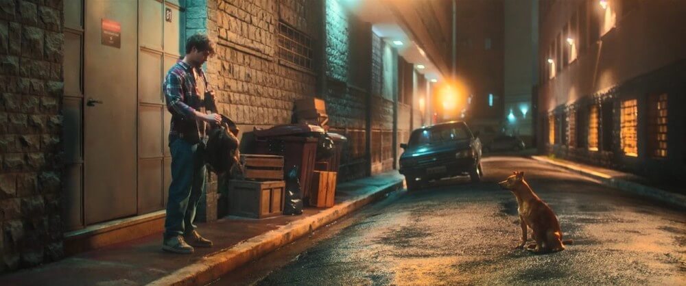 영화 카라멜루 스틸컷 &ndash; 어두운 밤거리 가로등 아래에서 페드로와 유기견 카라멜루가 서로 마주하며 바라보는 장면