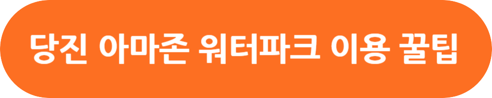 당진 아마존 워터파크 아쿠아파크 (입장권, 카바나 예약, 주변관광지)