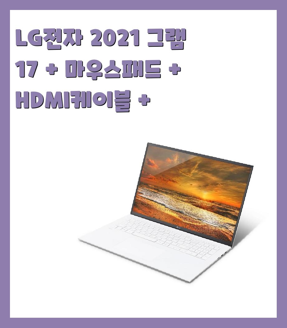 200만원이상 17인치 노트북