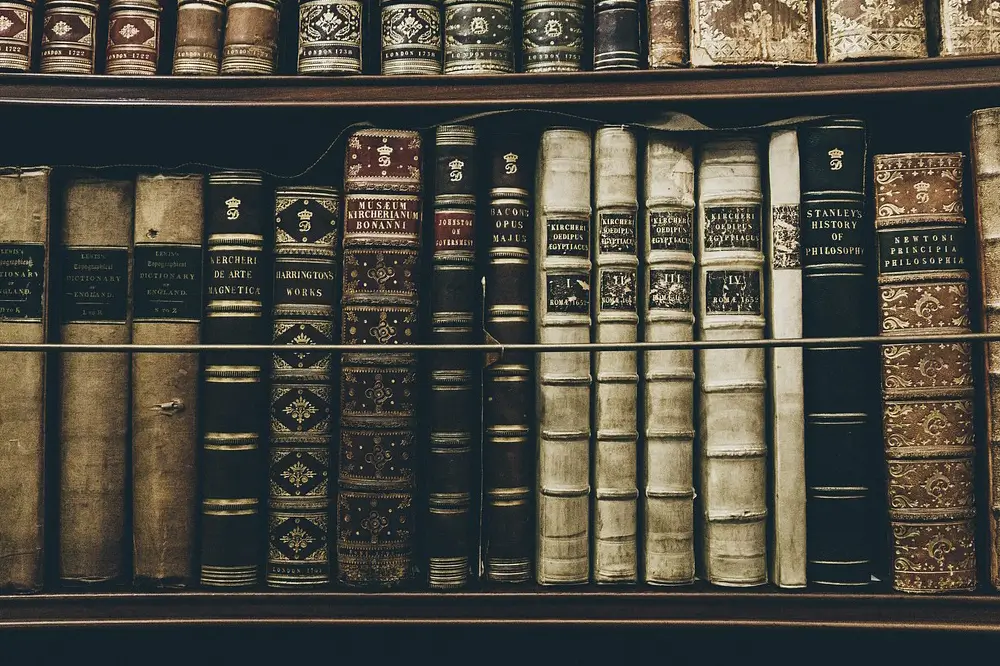 비주류 직업 AI 학습 데이터 품질을 관리하는 데이터 관리자 직업의 구조와 현실 소개