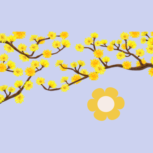 이천백사-산수유-꽃-축제