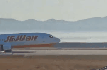 무안공항 참사의 큰 원인 '로컬라이저 둔덕'