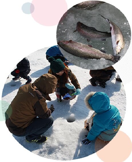 2025 평창송어축제