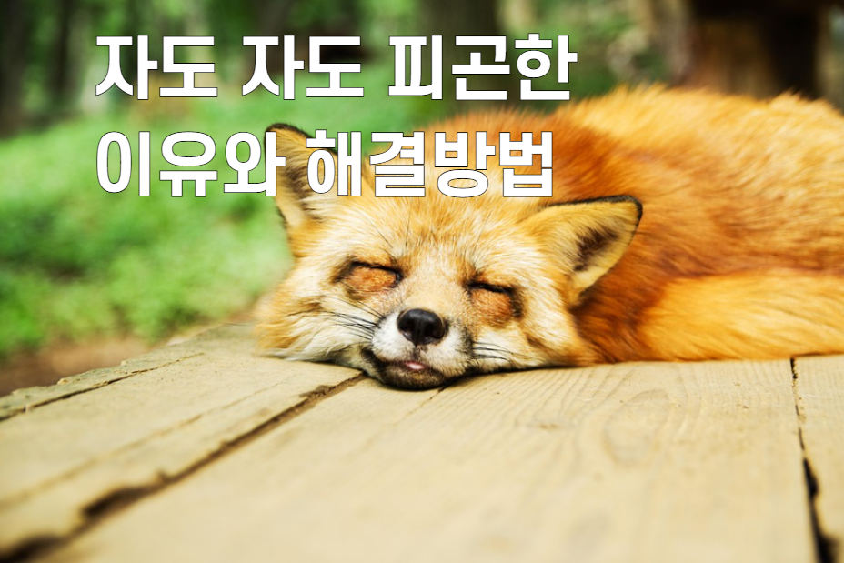 자도자도 피곤한 이유와 해결 방법
