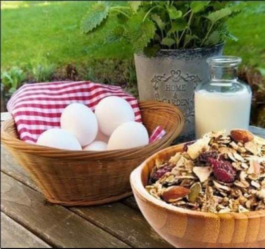 행복 호르몬 생성에 도움이 되는 음식