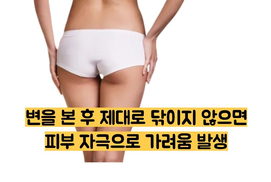 똥꼬가 가려운 이유