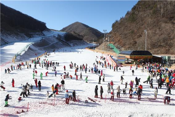 전국 스키장 특징