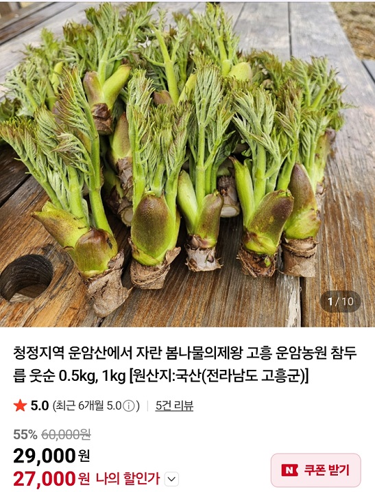 극한직업-고흥-참두릅