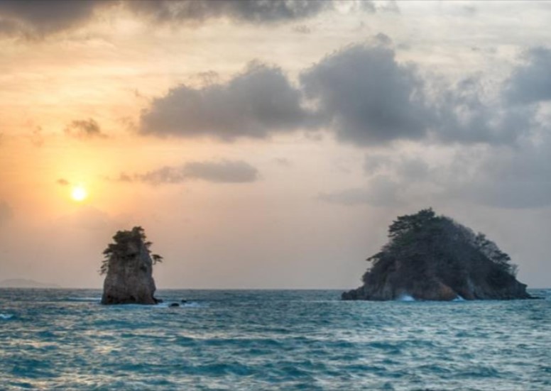 태안 튤립축제 여행7