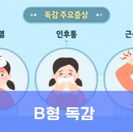독감증상 B형독감 격리 증상