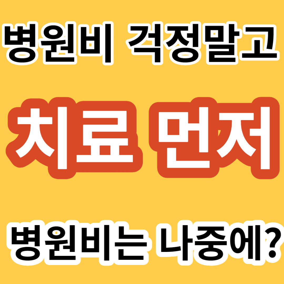 의료비후불제