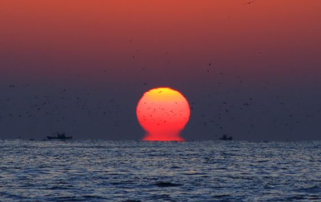 1월 강원도 가볼만한곳 ❘ 국내 겨울 갈만한곳 새해 여행지 추천 ❘ 데이트 여행 가족 실내 나들이 당일치기